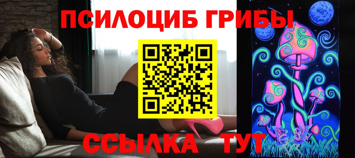 Галлюциногенные грибы GOLDEN TEACHER Кисловодск