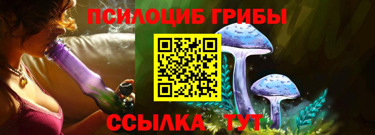Кисловодск  Псилоцибиновые грибы GOLDEN TEACHER  Вход с VPN 