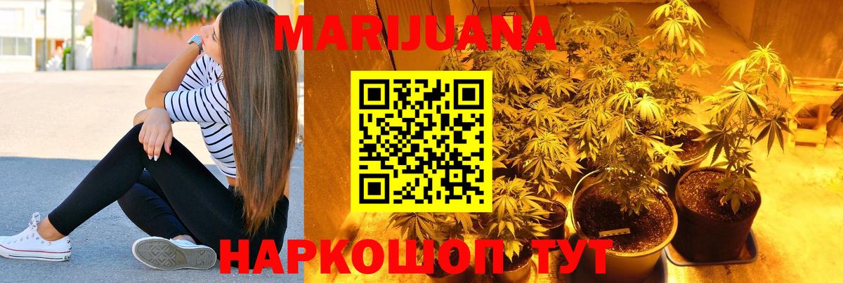Канабис семена Кисловодск